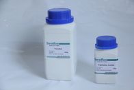 Oral Turinabol CL-4 Bulking Cycle Steroids Powder for Musscle Gain , Cas no.2446-23-3